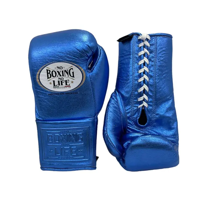 Bienvenido | No Boxing No Life